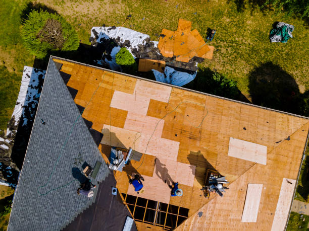 Best Roof Maintenance Services  in St Paul, TX