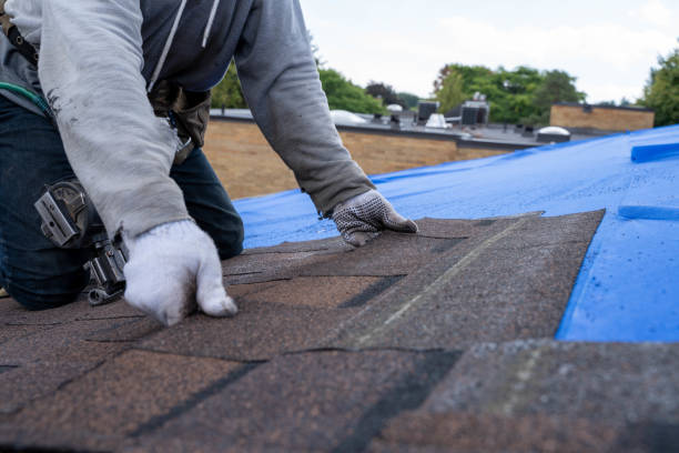 Best Roof Repair Services  in St Paul, TX
