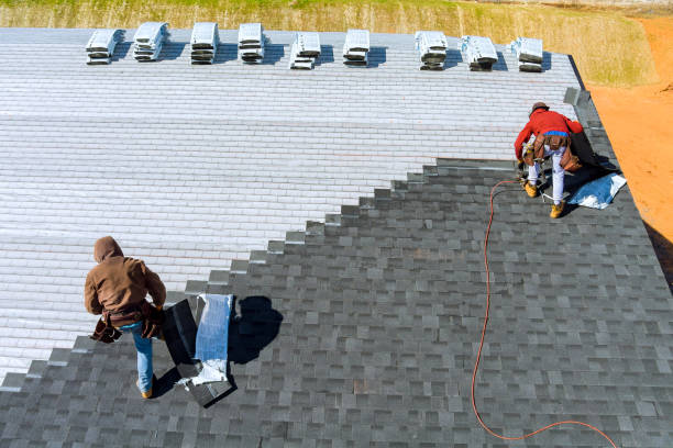 Best Flat Roof Repair Services  in St Paul, TX