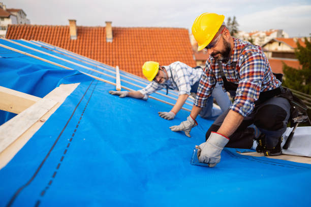 Best Metal Roofing Contractor  in St Paul, TX