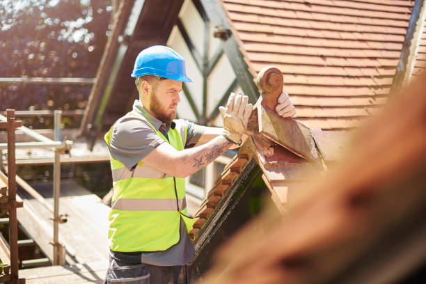 Best Metal Roofing Contractor  in St Paul, TX